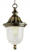  4185 WH - 1LT HANGING LANTERN WH